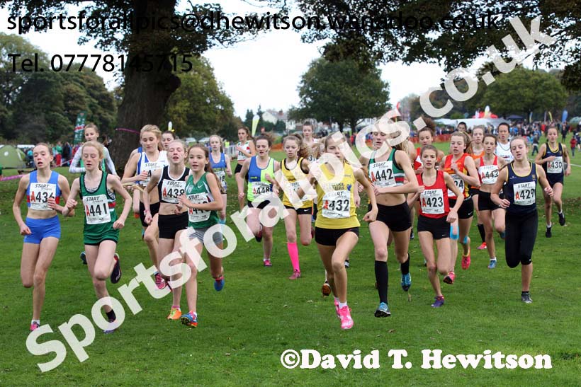 Girls under-15s Northern Cross Country Relays, Graves Park, Sheffield. Photo: David T. Hewitson/Sports for All Pics